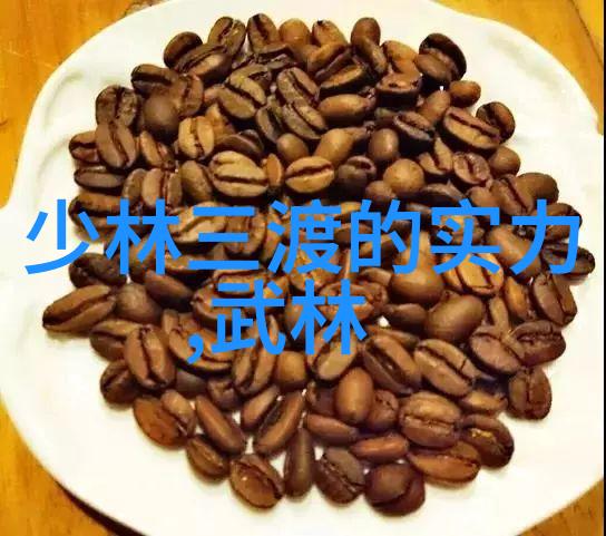 中国十大最强武术我眼中的中华武林揭秘那些令人瞠目的内功