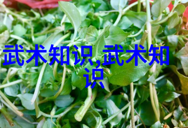 悟拳通天揭秘古代武功秘籍口诀的艺术与智慧