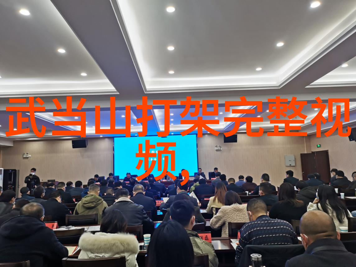 安徽武林秘籍揭秘江湖中的传统门派