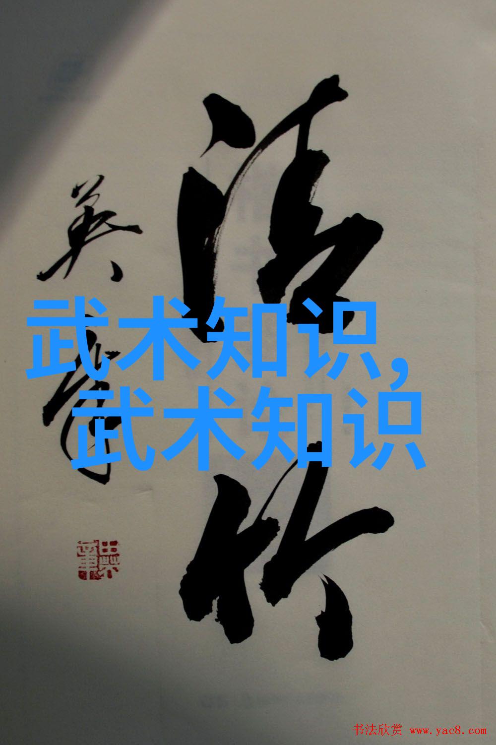 金庸神功大辞典揭秘武林中每一门武功的奥秘