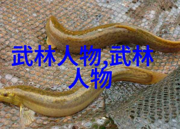 在喜德盛自行车的征途中最让人心惊胆战的并非狂风暴雨也非陡峭崎岖而是一种常与众不同却又易被忽视的情感孤