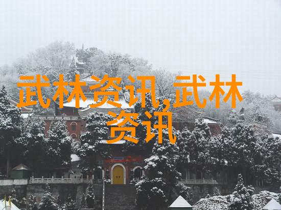 武学探究-从零到英雄普通人如何通过坚持与智慧修炼武功