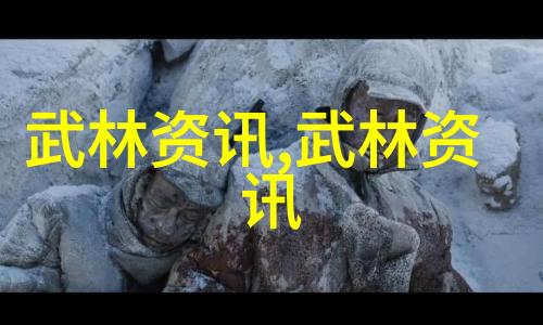 武术的哲学与实践探索内功与外功之谜