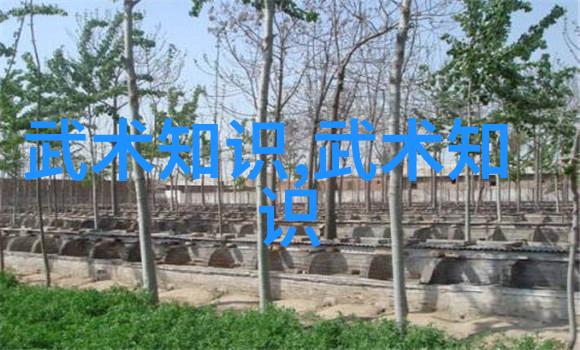 女生帮派的神秘名字风华联盟