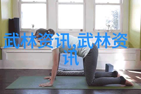 关于古代武功秘籍的讨论-张宝银
