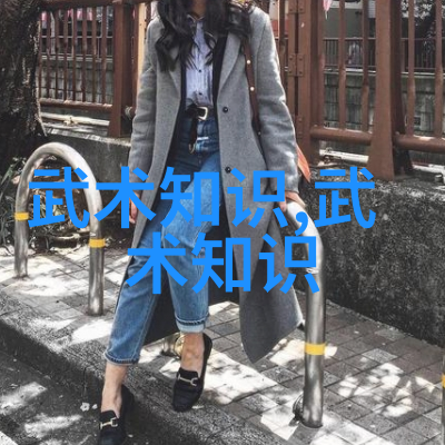 轻功飞翔的秘诀云游四海的艺术探究