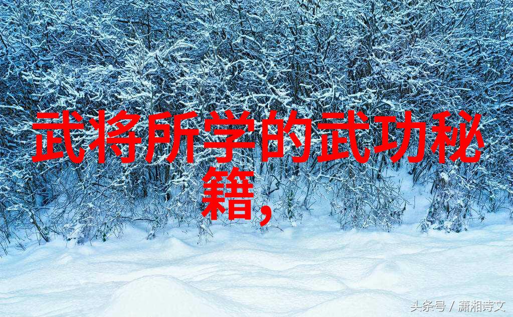 纪涛档案拳击比赛背后的死亡之谜