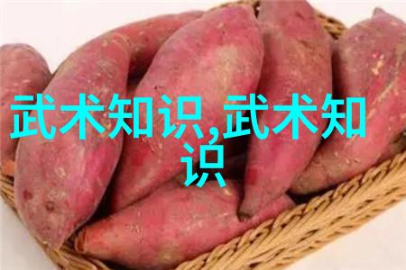 重铸梦想从做错一题进去一次C到学霸之路