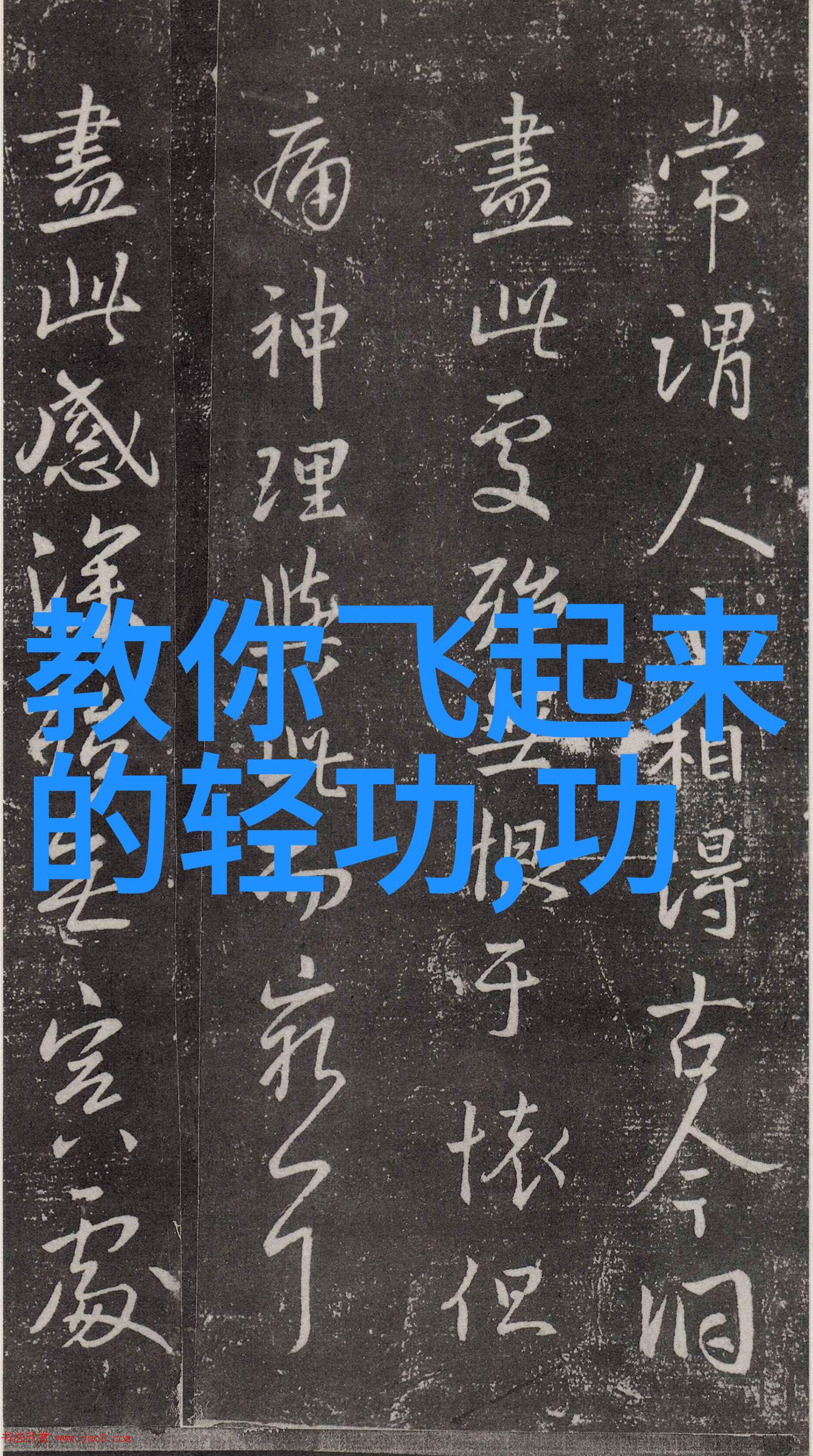 古秘录揭开太极功夫的神秘面纱
