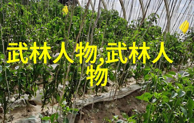 古武修炼之路入门者必知的秘诀与技巧