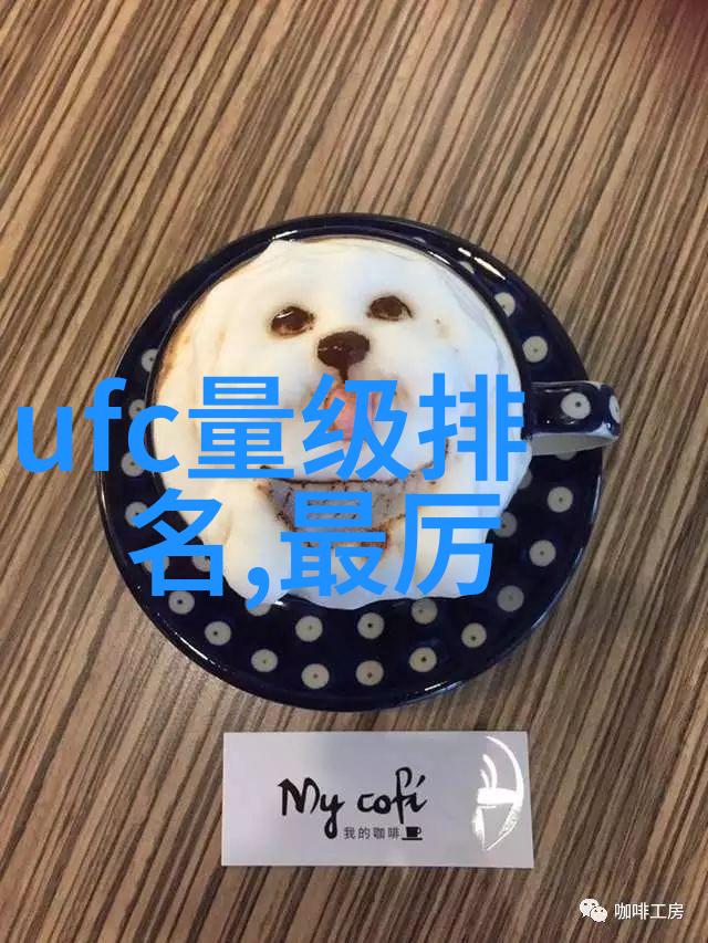 门派拳种济宁查拳揭秘小说中最令人遐思的宗门之谜