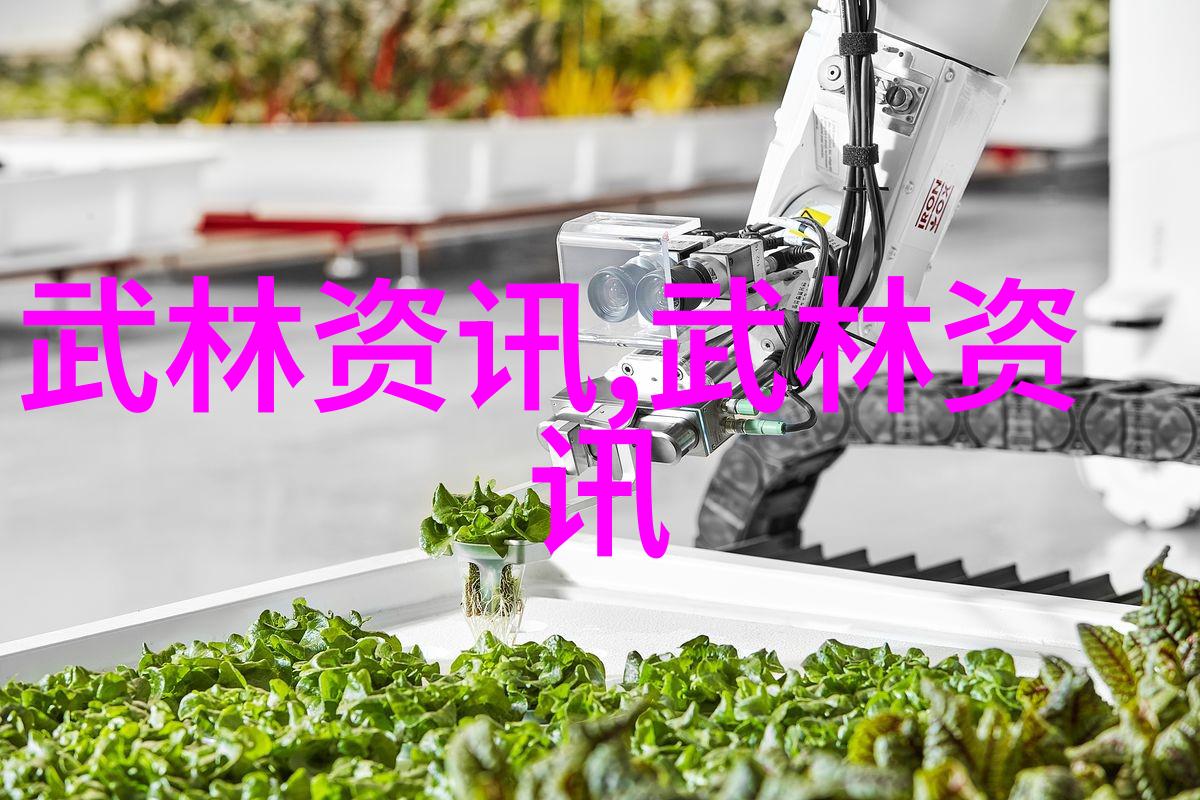 江湖秘籍武林千门万户的绝学宝典