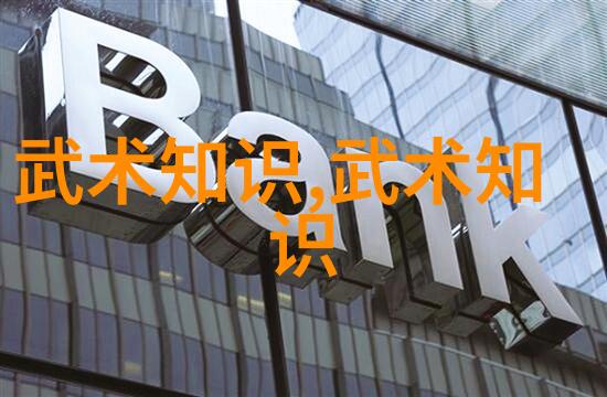 柔和掌门的拳击狂潮