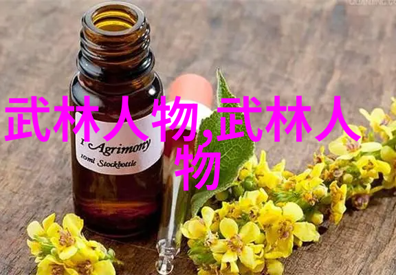 古风剑法秘籍剖解千年武学