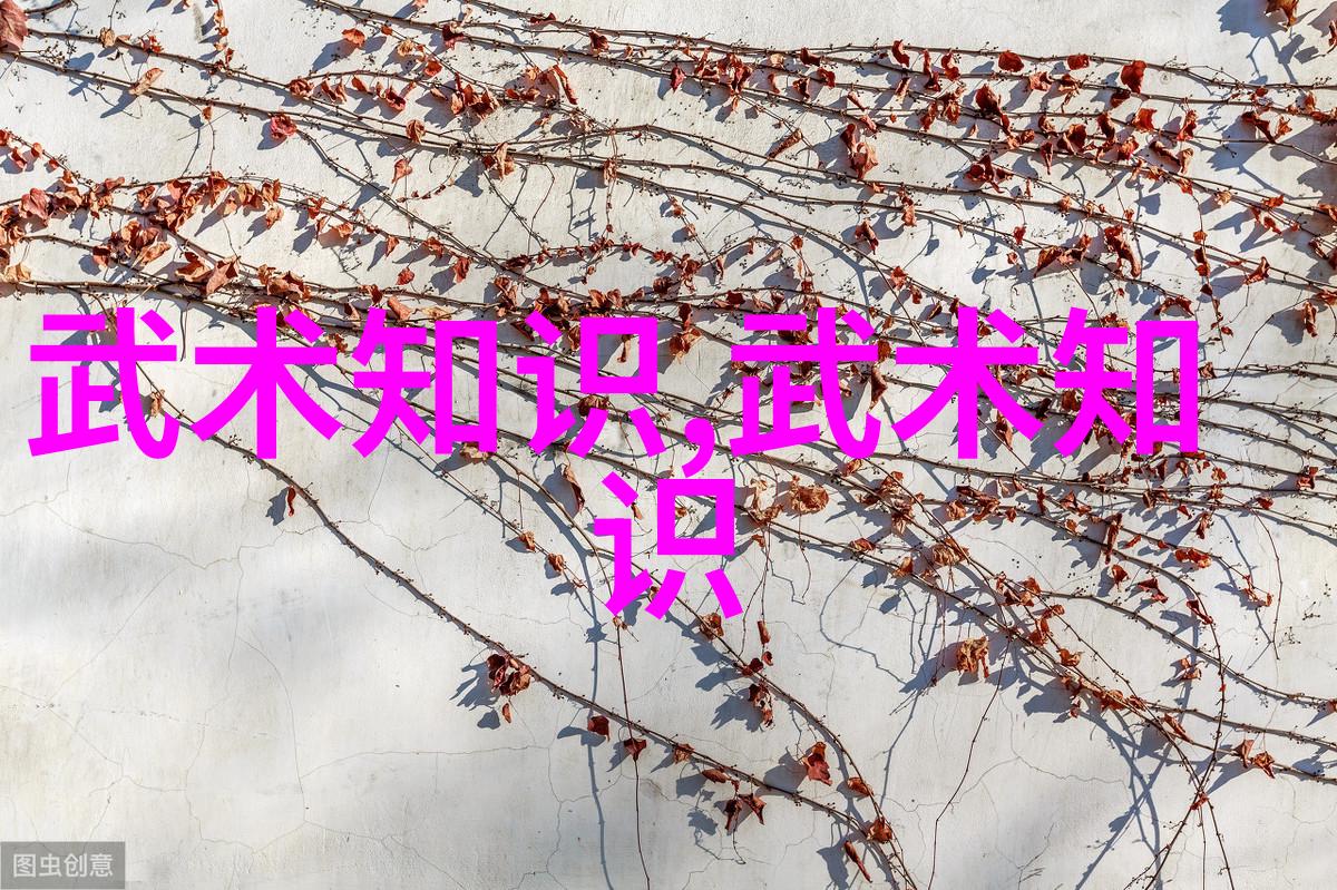 从泰拳到跆拳道全球各国最狠的打击艺术