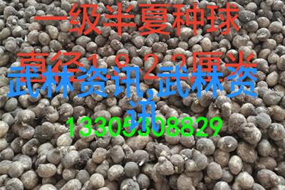古武入门修炼法研究探索内功与外化的基础原理