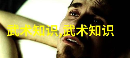 古风剑法秘籍中的奇珍异宝剖析古代剑法名称的文化寓意