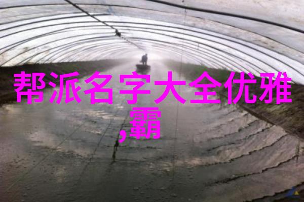奇门绝技秘笈神功解锁古老武学的奥秘与力量