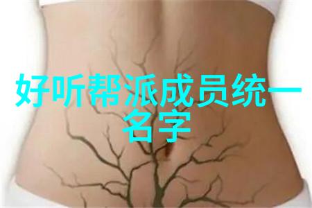 古武功法秘法我亲历的绝世武学揭秘那些年我修炼的奇门遁甲