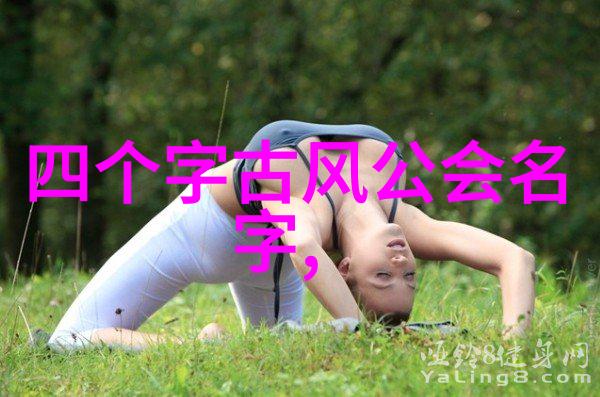 中国武术拳法系统研究探究传统技艺的多样性与演化