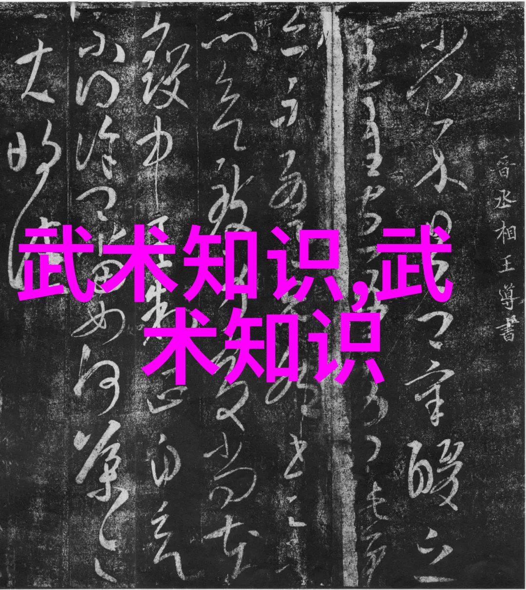 中国现今最为强盛的武林门派揭秘内功与外功之争