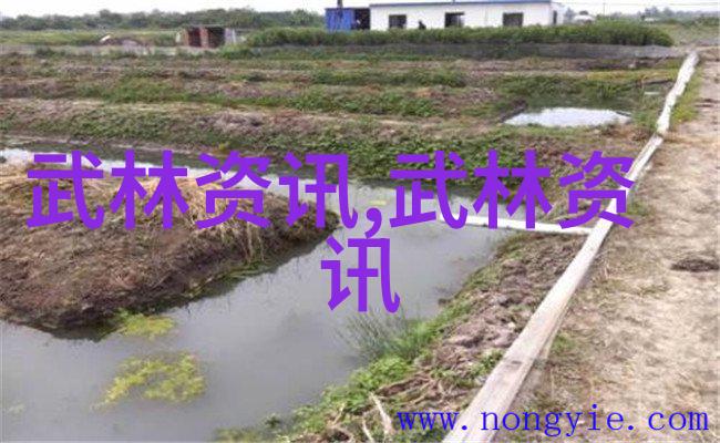 2022年1月女拳击手的奋斗故事