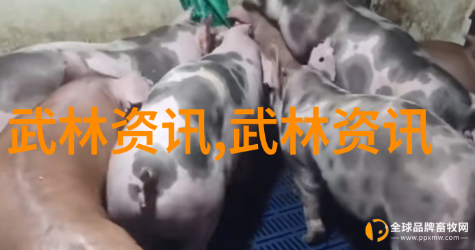 女生的帮派名字叫什么好我猜想她们的帮派名应该是心动联盟或者秘密花园
