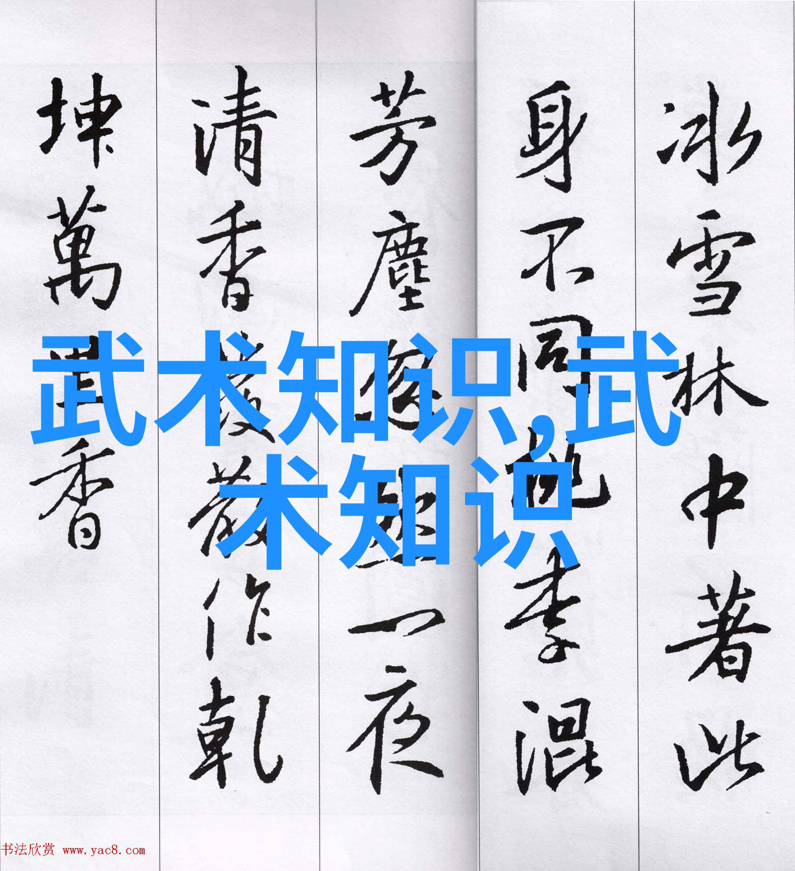 太极慢功调身心形意拳最怕哪种拳