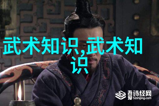 少林最厉害的拳法我亲眼见证的那一招让师傅也惊叹不已