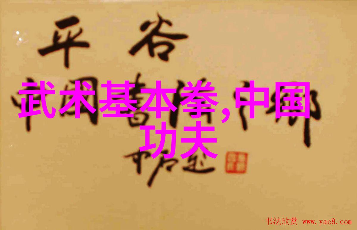 武功秘籍大全招式拳法图片-探秘古老武林解锁武功秘籍中的精妙招式与拳法之谜