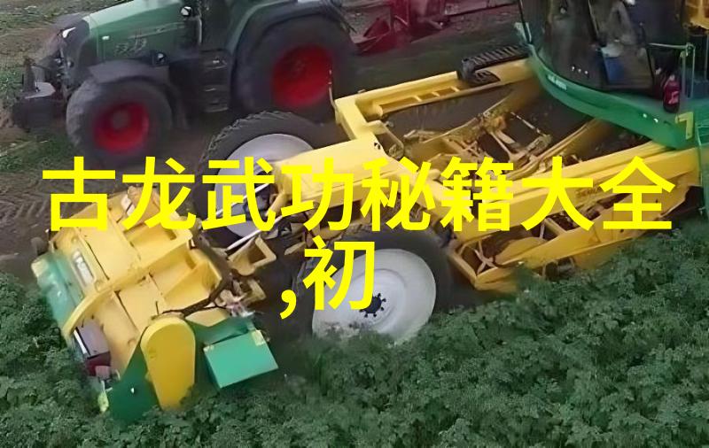 武学探究分辨内功与外式的艺术差异