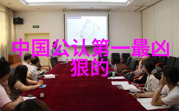 武功秘籍大全招式拳法图片我如何找到那本神奇的武功秘籍