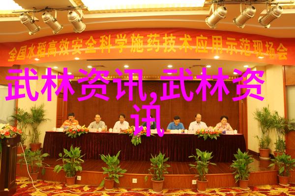 少儿散打武术青春健体少年武术训练