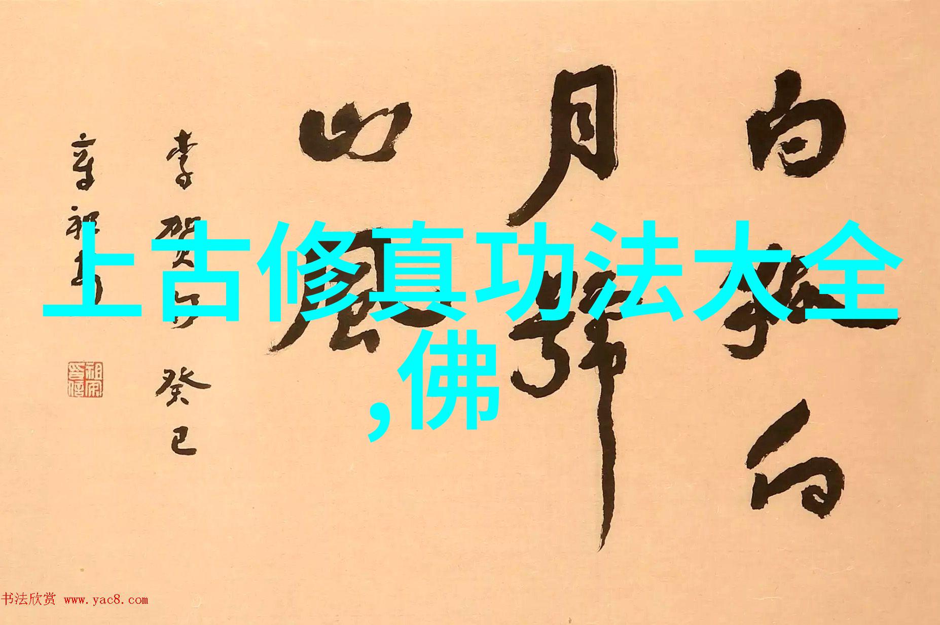 乒乓球世纪巨星王涛权威视角下的成功秘诀