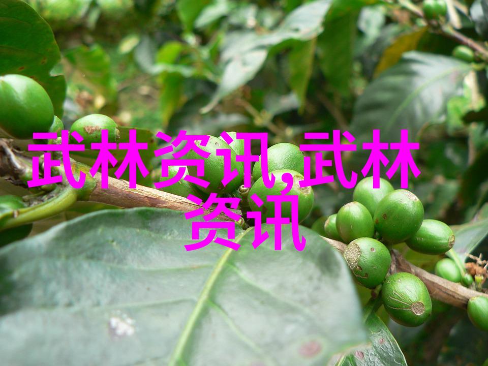 点亮游戏中的历史光辉独特帮派名称推荐大列表