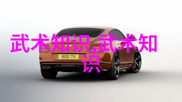 太极24式分解之谜揭开武术古秘的先河