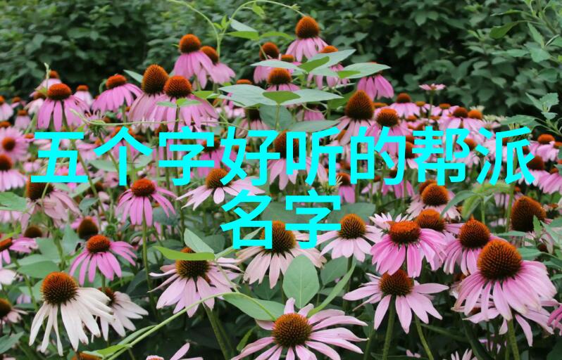 道家至宝气功与太极拳的自学法则