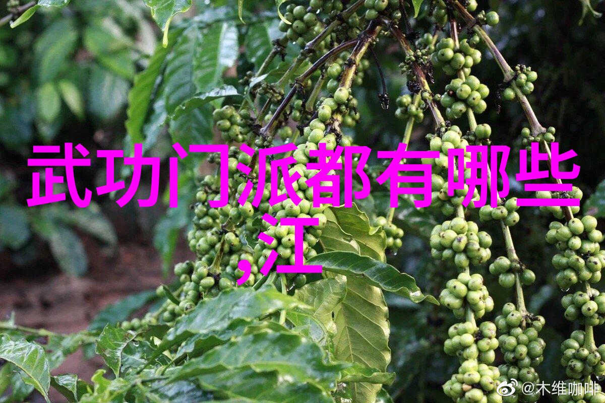 武术初学者入门基础动作教程