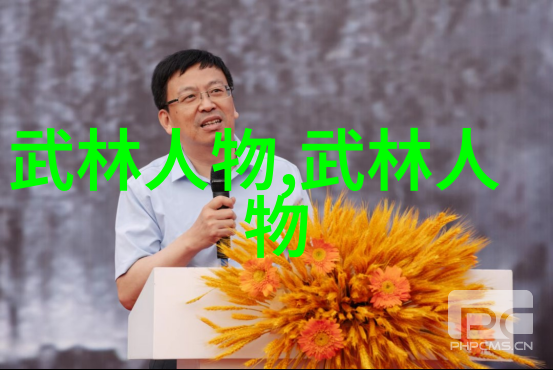 武学秘籍揭秘中华功夫的奥义与实战技巧