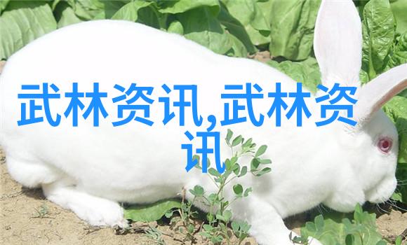 妈妈的旅行日记三次冒险与背后的故事