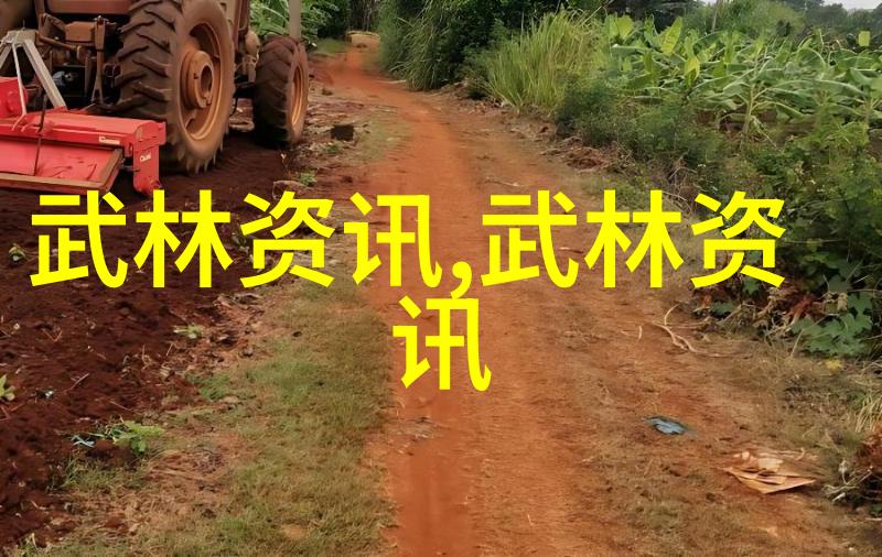 中国武术有多少种拳法松得开合得住