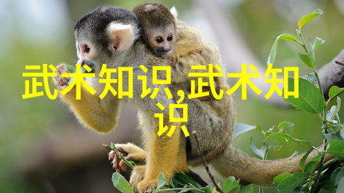 拳影纷飞武林绝技的幻想
