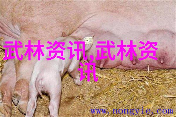 仙气飘飘游戏宗门咏春拳轻拂春风舞动剑影