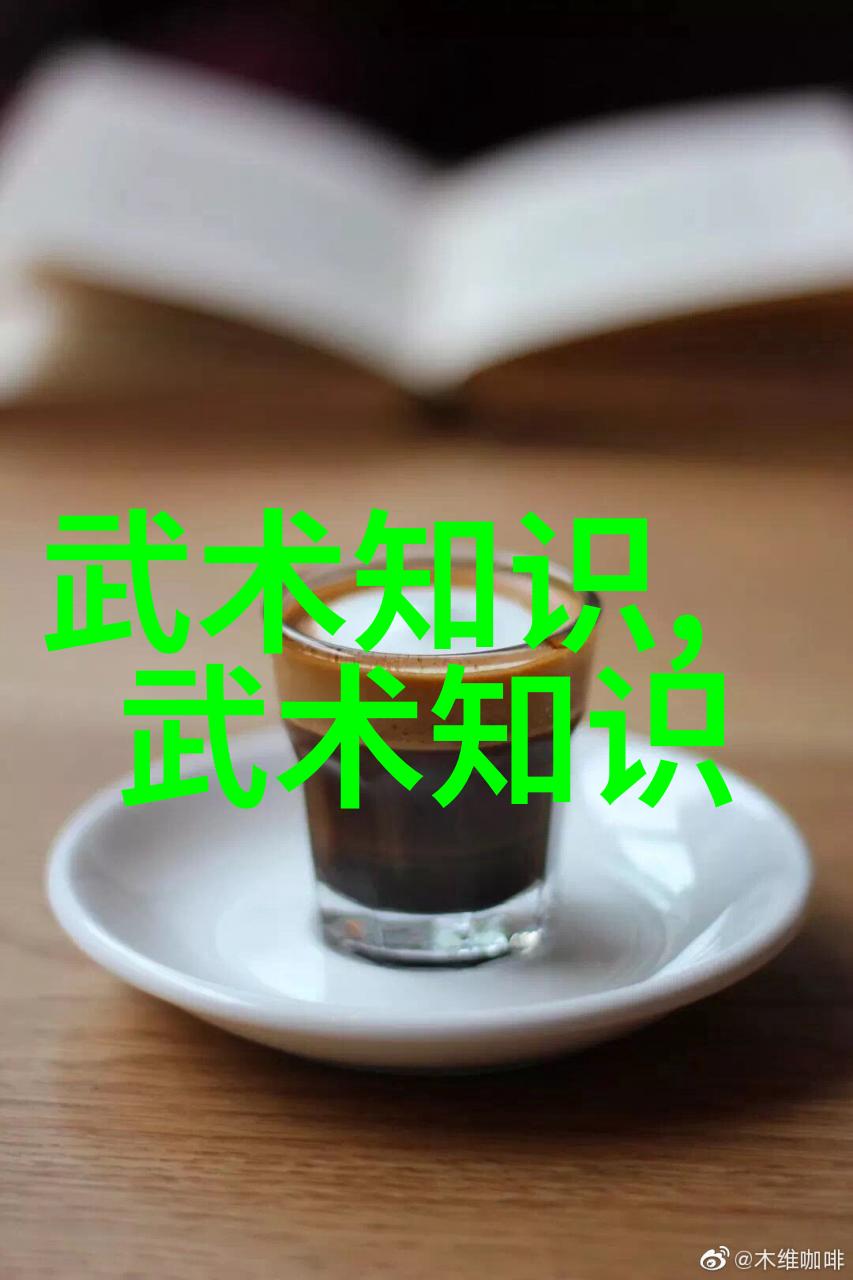 24式太极拳口令全套解析探索传统武术中的节奏与意境