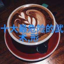 探秘中国武术揭秘各类拳法之多样性