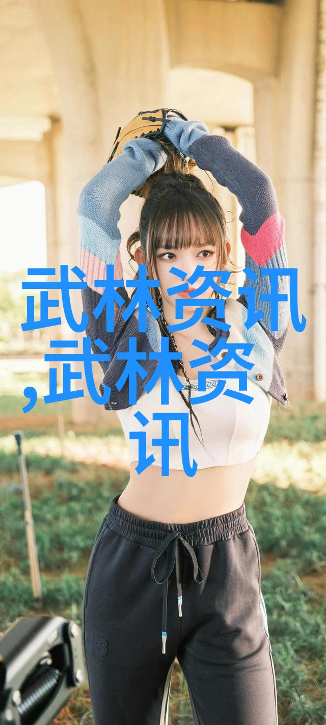 掌握古典风韵深入解析二十四式简化太极拳图解