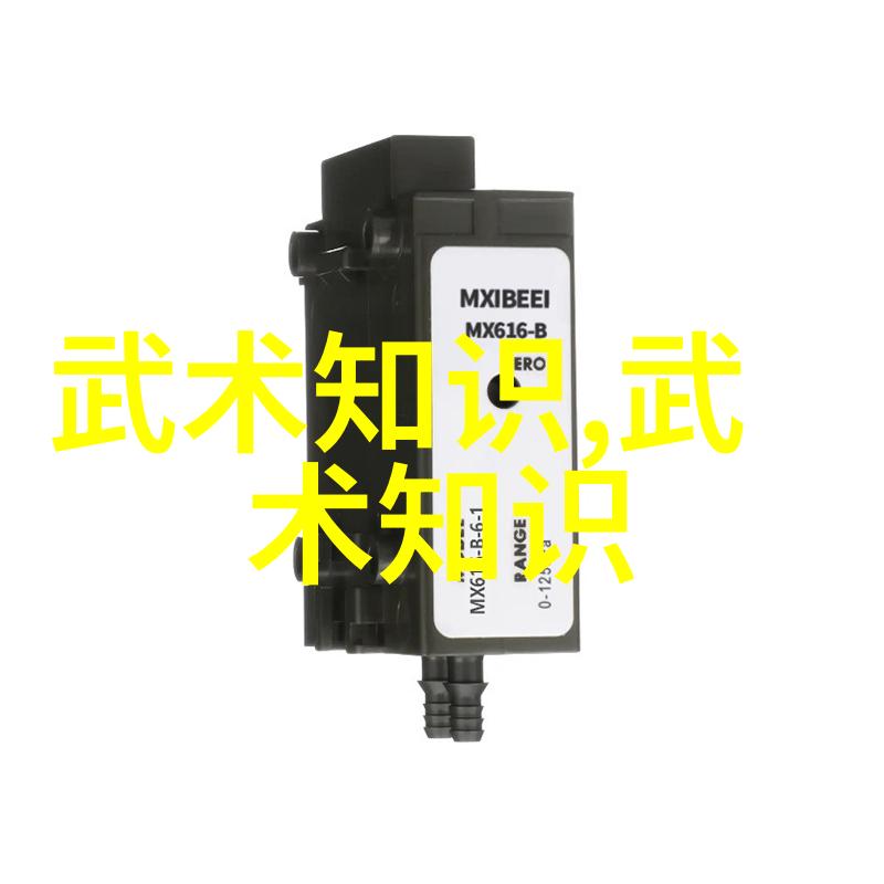 太极秘籍马权友的行走坐卧立之术