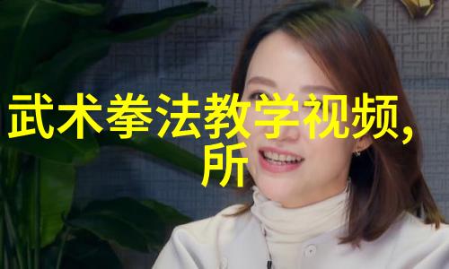 霸气梅花拳如同江湖中最为耀眼的星辰璀璨夺目