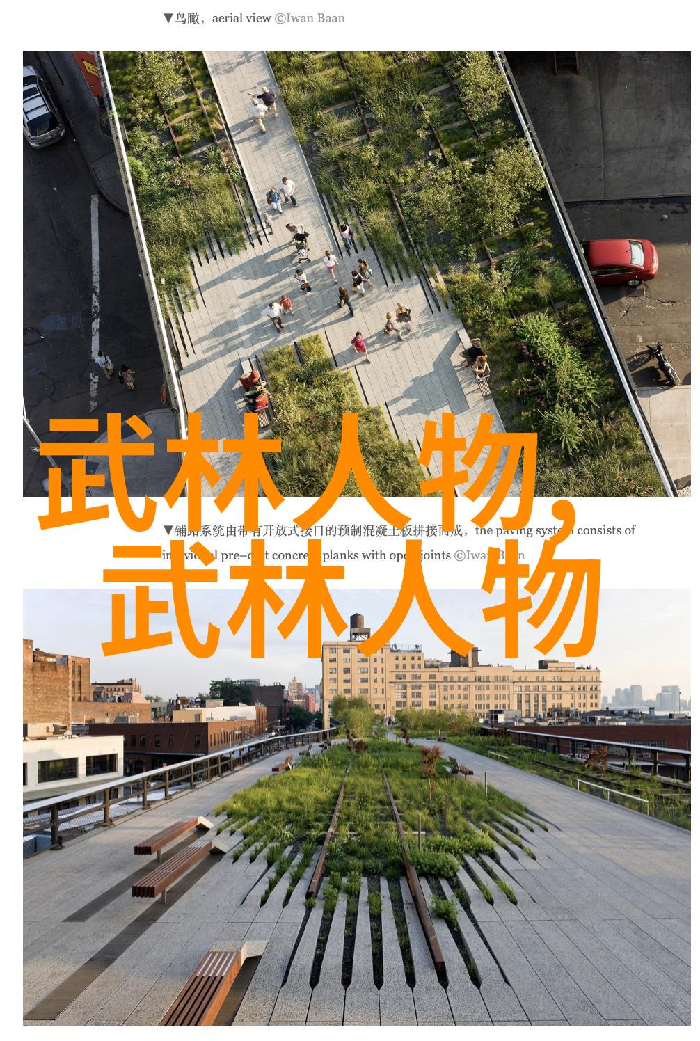 推动太极拳运动发展明确客观标准吴致敬功夫大全招式拳法在社会的应用与演变