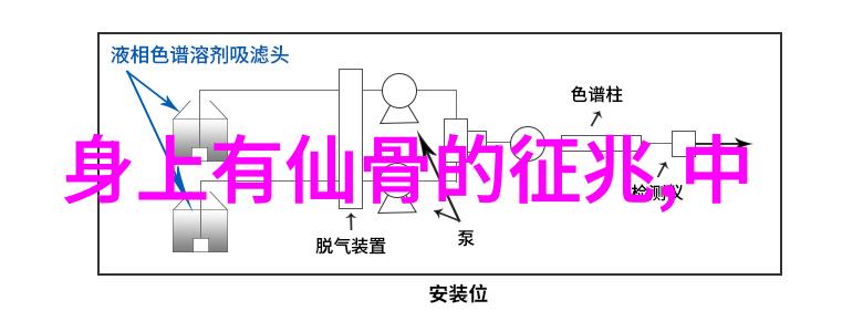 探索中国武术经典从太极拳到八卦掌